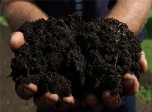 Grass Factory Compost