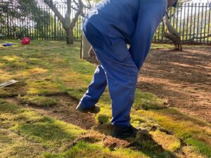 Community Project
